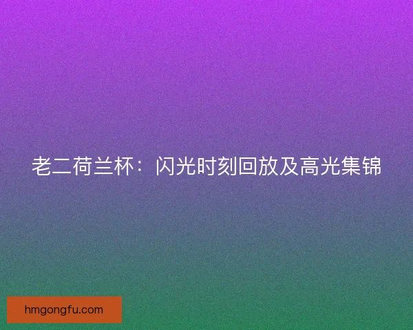 老二荷兰杯：闪光时刻回放及高光集锦